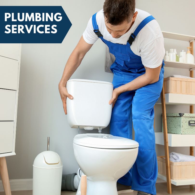 Plumbing Company in Inglis, FL